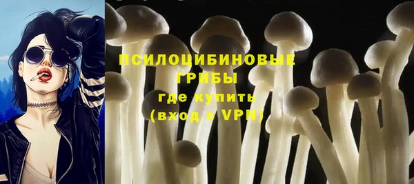 прущая мука Абаза