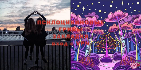 прущая мука Абаза