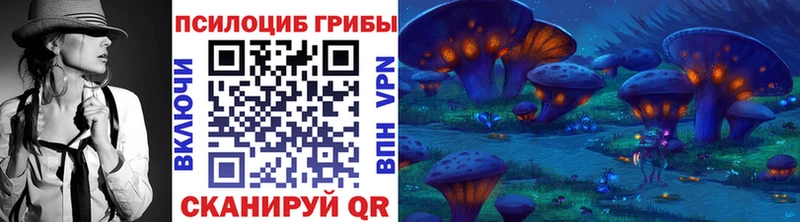 Псилоцибиновые грибы Psilocybine cubensis  Чегем 